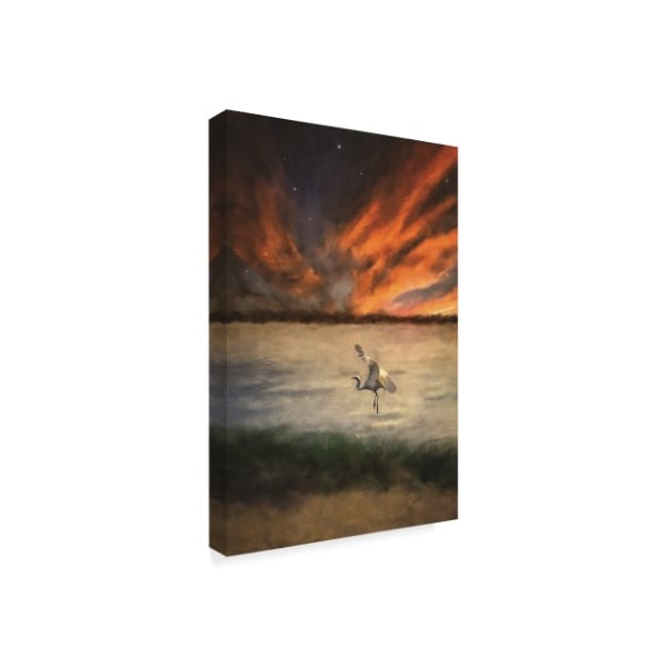 Lois Bryan 'White Egret At Sunset' Canvas Art,22x32